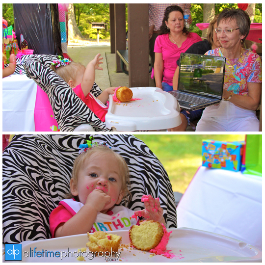 Sophia’s First Birthday Party Rotary Park Johnson City, TN A