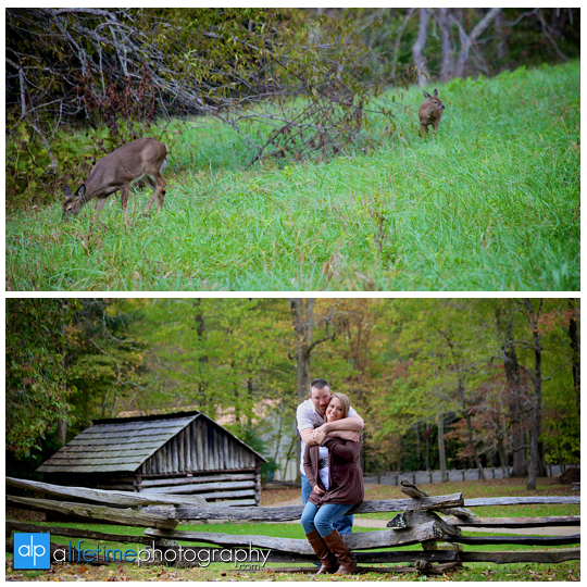 Cades-Cove-Family-Photograher-in-Townsend-TN-Couples-Kids-Photography-deer-wildlife-Smoky-Mountains-Session-Pictures-Gatlinburg-Pigeon-Forge-14