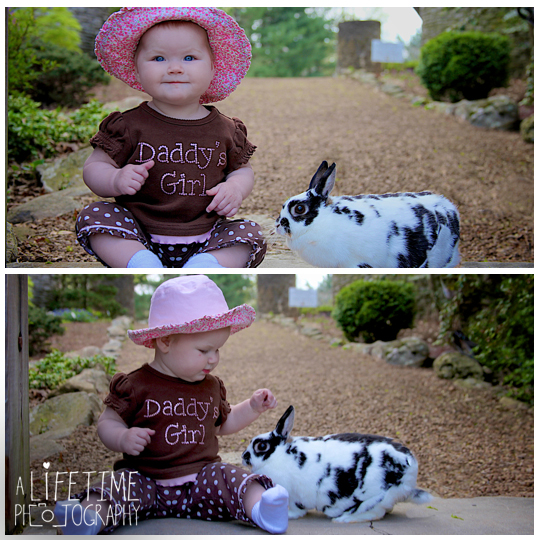 Joanna Botanical Gardens and Arboretum Knoxville, TN Photographer A Lifetime Photography