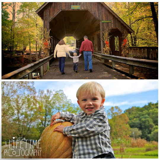 Family-Photographer-Gatlinburg-Pigeon-Forge-Sevierville-Kids-Emerts Cove-Smoky Mountains-Seymour-Knoxville-7
