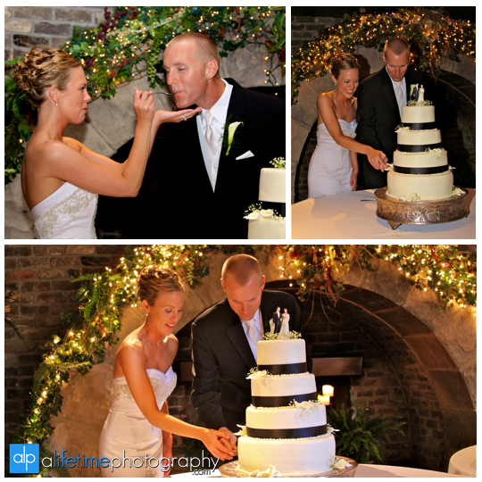 Foundry_Worlds_Fair_Park_Knoxville_TN_Wedding_Photographer_Photography_Pictures_Bride_Groom_Cutting_Cake