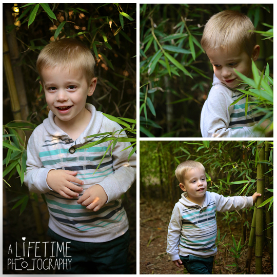 Knoxville-Family-Photographer-Botanical-Gardens-kids-Fall-Autumn-Photos-pictures-14