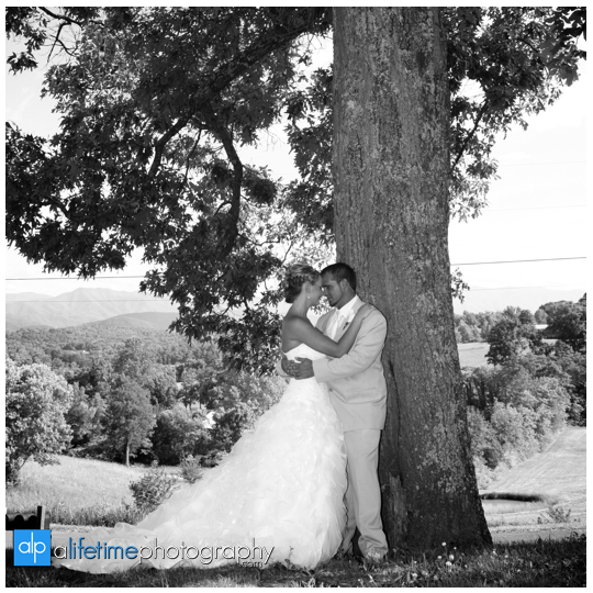 Newport-Pigeon_Forge-Gatlinburg-Sevierville-Knoxville-TN-wedding-photographer-marriage-photography-photos-bride-groom-newlywed-home-outdoor-ceremony-bridesmaids-bridal-flower-girl-gromsmen-bridal-party-19
