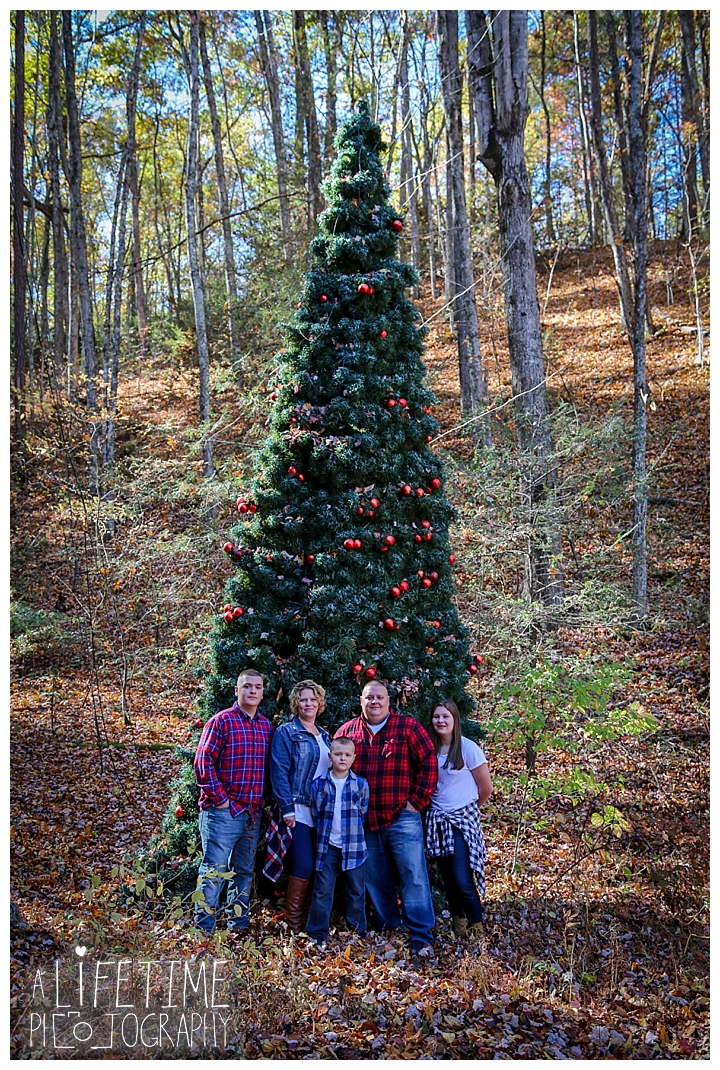 photographer-family-couple-gatlinburg-pigeon-forge-knoxville-sevierville-dandridge-seymour-smoky-mountains-townsend-one-fine-day_0108