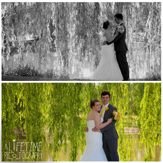 Storybrook-Farms-Wedding-Photographer-Newlywed-Photos-pictures-bride-groom-Jonesborough-TN-Venue-Johnson-City-Kingsport-Bristol-Knoxville-TN-12