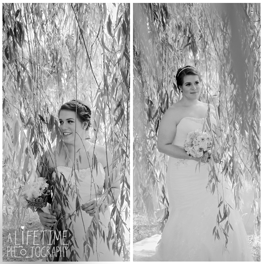 Storybrook-Farms-Wedding-Photographer-Newlywed-Photos-pictures-bride-groom-Jonesborough-TN-Venue-Johnson-City-Kingsport-Bristol-Knoxville-TN-14