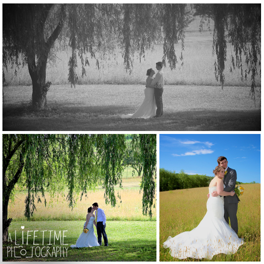 Storybrook-Farms-Wedding-Photographer-Newlywed-Photos-pictures-bride-groom-Jonesborough-TN-Venue-Johnson-City-Kingsport-Bristol-Knoxville-TN-19