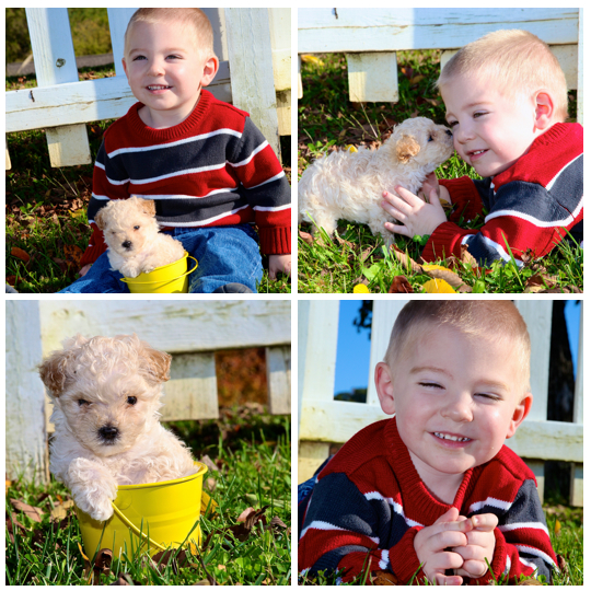kids and pets photography