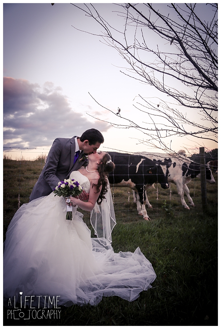 wedding-photographer-bristol-tn-johnson-city-kingsport-fern-valley-farm-blountville-knoxville-photos-bride-groom_0052